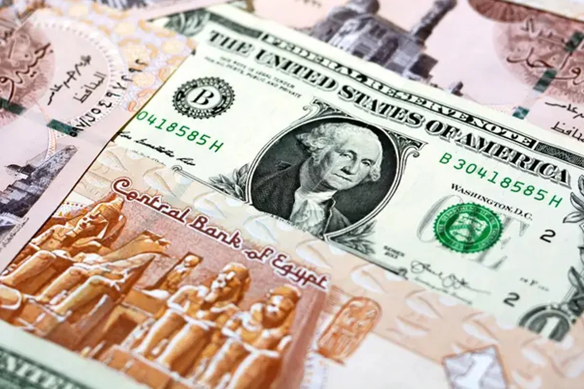 زيادة سعر الدولار إلى مستوى جديد في البنوك المصرية