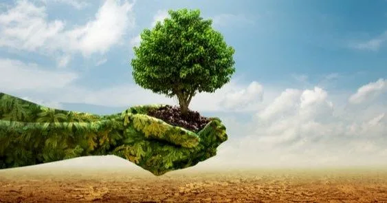 اليوم العالمي للبيئة: هل يشكل التغير المناخي خطرًا على حياة الأشخاص ذوي الإعاقة؟