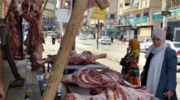 الطب البيطري في شمال سيناء: ذبح 16 أضحية في أول أيام العيد وإتلاف حيوانات مصابة بالطفيليات والسل