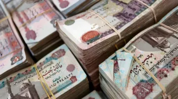 ارتفاع ودائع العملاء في البنوك إلى 14.3 تريليون جنيه مع انتهاء مارس