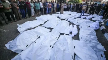 عدد ضحايا الحرب على غزة يتجاوز 184 ألف بين شهيد ومصاب