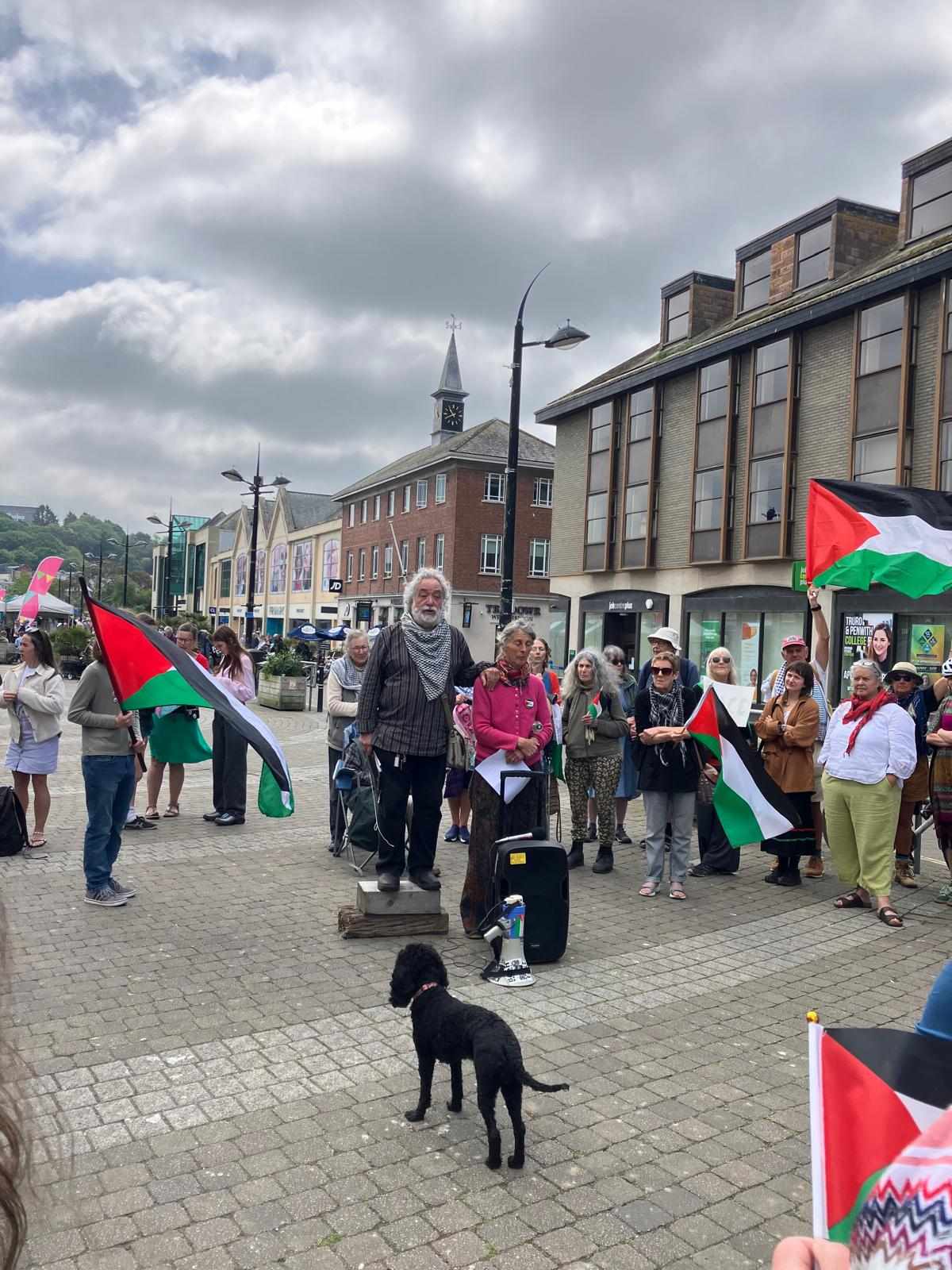 تظاهرة دعم للشعب الفلسطيني في لشبونة
