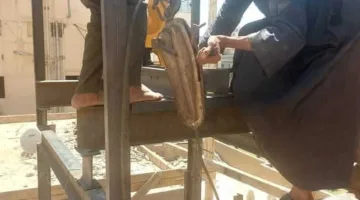 حي شرق مدينة نصر يزيل مصعداً غير مرخص من أحد المباني في منطقة أرض الجولف