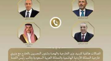 وزير الخارجية يتناول مع نظرائه العرب آثار التصعيد الإسرائيلي تجاه إيران