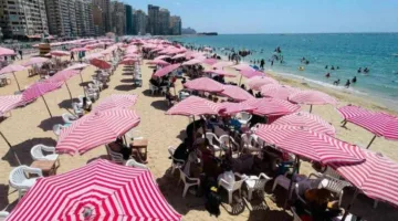طاحونة المندرة: معلومات عن شاطئ تاريخي في الإسكندرية يعود لحقبة محمد علي