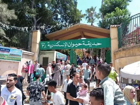 إقبال ملحوظ على حديقة Zoo بالإسكندرية إقبال ملحوظ على حديقة Zoo بالإسكندرية