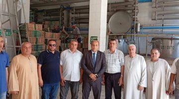 بعد تدخل وزير الزراعة.. مزارعو الياسمين في الغربية يشعرون بالارتياح لإعادة تسعير المحصول، ونقيب الفلاحين: أنقذنا محصولاً وطنياً.