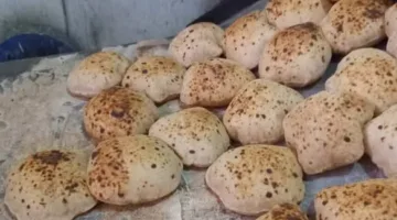 مديرية التموين في القليوبية تنظم حملة لمراقبة المخابز