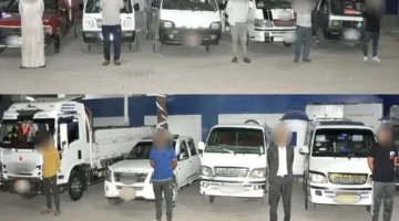 بعد حادث المنوفية.. القبض على سائقي 9 سيارات تسير في الاتجاه المعاكس على الطريق الإقليمي