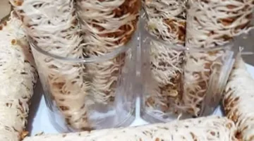 فوائد حبوب الحلبة الم sprouting وطريقة تحضيرها