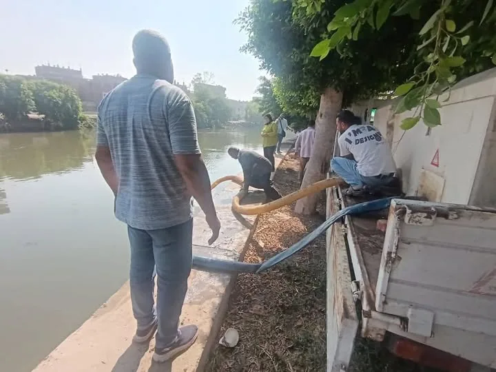 محافظ الشرقية يعلن عن زراعة ثلاثة ملايين يافعة من أسماك المبروك في صان الحجر و بحر أبو الأخضر بالزقازيق.