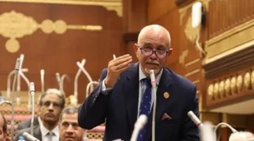 النائب حازم الجندي: تجاهل مطالب مصر للسلام وضع المنطقة على حافة الانفجار