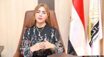 جيهان مديح: مصر تتخذ خطوات استراتيجية لتعزيز أمنها القومي ودعم القضية الفلسطينية