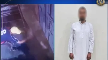 الداخلية توضح حقيقة مقطع الفيديو بشأن “تعرض قطة للاعتداء”: الحادث حدث خارج مصر