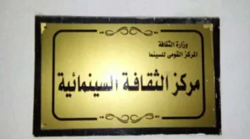 إنجي أفلاطون وفن الحد الأدنى: فعالية تسجيلية في مركز الثقافة السينمائية يوم الأربعاء القادم
