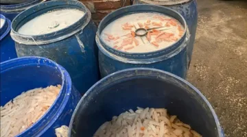 إلقاء القبض على 3.5 طن من المخللات الفاسدة وزيوت ومكرونة غير معروفة المصدر في منشآت غذائية بالسنطة