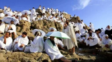 التضامن: انطلاق أولى رحلات حج الجمعيات الأهلية من جدة في 10 يونيو ومن المدينة المنورة في 14 يونيو