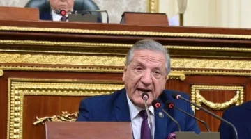 النائب فخري الفقي يقدم تقرير الميزانية العامة للدولة.. وبدء جلسات المناقشة غداً