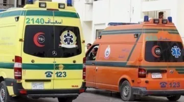 اكتشاف رأس رضيع في الحقول بقرية عزبة البوصة في أبوتشت
