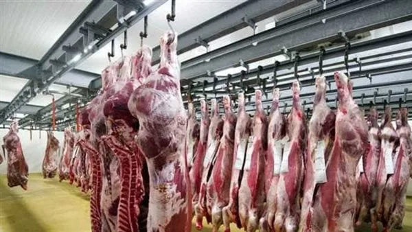 الزراعة تعزز مستويات الاستعداد في المجازر الحكومية لتقييم الأضاحي قبل عملية الذبح