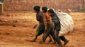 وزير العمل: نركز على تقليص ظاهرة عمل الأطفال