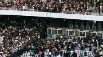 بالصور: إلغاء احتفالات تتويج المولودية بلقب الدوري الجزائري لهذا السبب!