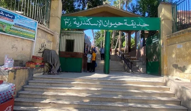 الزراعة: حدائق الحيوانات والأحواض المائية تستضيف أكثر من 38 ألف زائر في اليومين الأولين من العيد الزراعة: حدائق الحيوانات والأحواض المائية تستضيف أكثر من 38 ألف زائر في اليومين الأولين من العيد