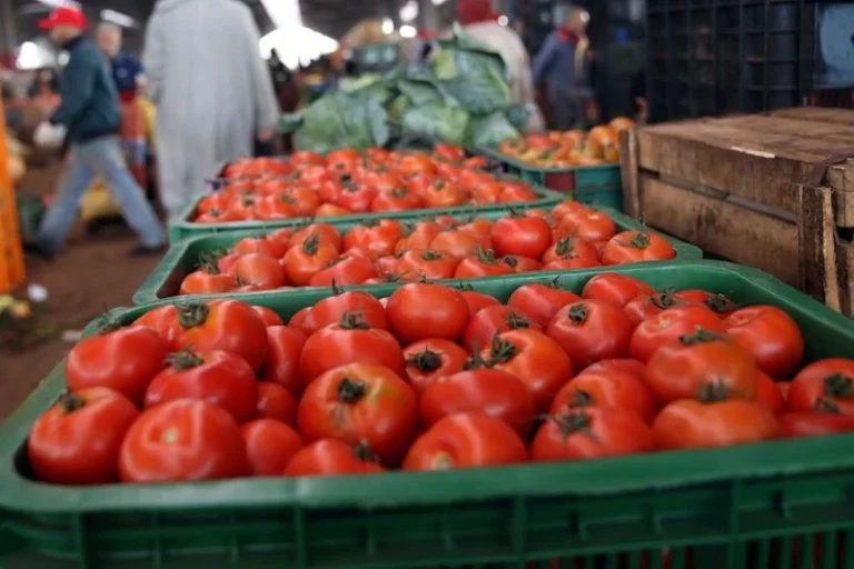 انخفاض أسعار الطماطم في سوق إنزكان نتيجة لتراجع الطلب وزيادة المعروض