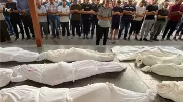 استشهاد 8 فلسطينيين بنيران الاحتلال الإسرائيلي قرب مركز إغاثة في رفح جنوب غزة