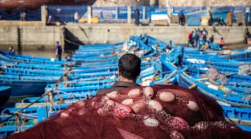 تراجع استثمارات الصيد في ميناء العيون بنسبة 26%