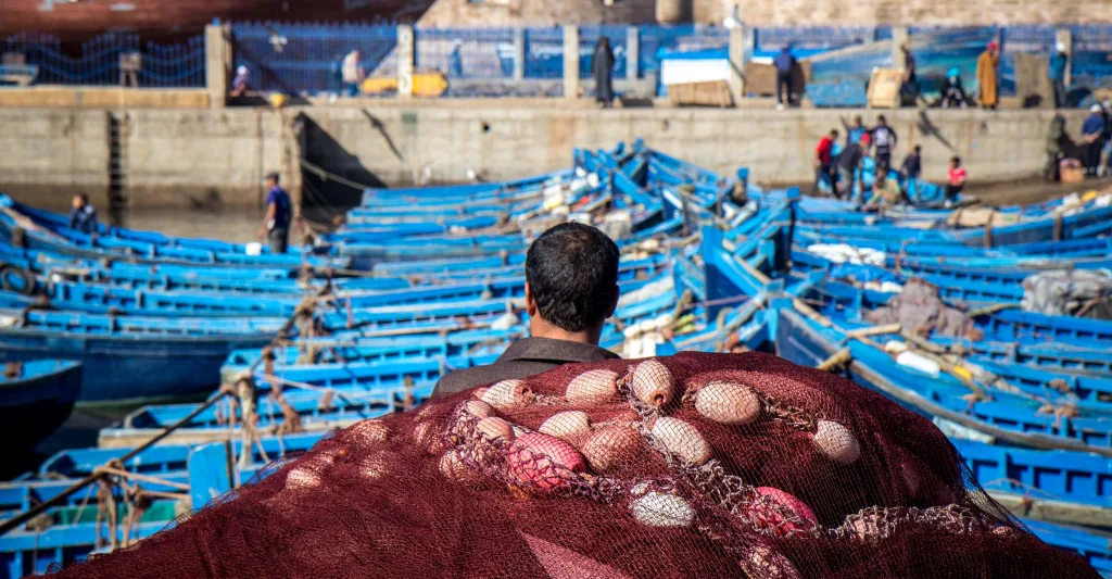 تراجع استثمارات الصيد في ميناء العيون بنسبة 26%