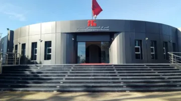 فتح باب الترشيحات لمنصب مدير المركز السينمائي يثير تساؤلات حول “استمرارية ثورة” التحول الرقمي