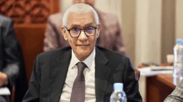 وفد من المغرب يشارك في اجتماعات برلمانية في مالقة