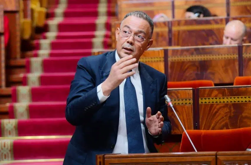 لقجع: المواطن يحق له المطالبة بالعدالة إذا شعر بعدم الإنصاف في نظام الدعم لقجع: المواطن يحق له المطالبة بالعدالة إذا شعر بعدم الإنصاف في نظام الدعم