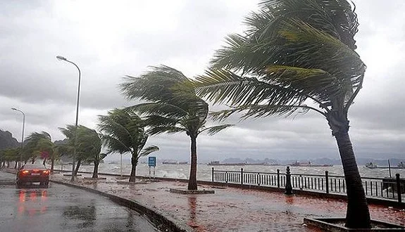 توقعات بأمطار رعدية ورياح في هذه المناطق المغربية يوم الخميس توقعات بأمطار رعدية ورياح في هذه المناطق المغربية يوم الخميس