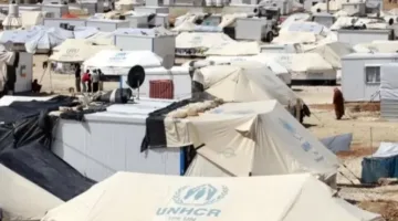 مفوضية اللاجئين: 91% من اللاجئين في الأردن من سوريا