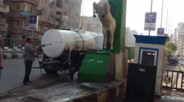 صورة غسل حصان الصاغة تثير الجدل في الشرقية.. مسؤول يكشف الحقائق