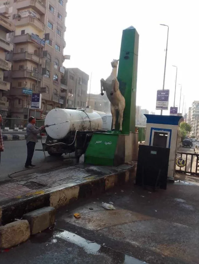 صورة غسل حصان الصاغة تثير الجدل في الشرقية.. مسؤول يكشف الحقائق صورة غسل حصان الصاغة تثير الجدل في الشرقية.. مسؤول يكشف الحقائق