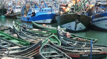 زيادة بنسبة 180% في كميات الصيد بميناء طانطان