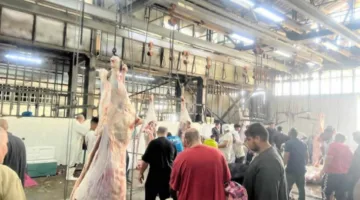إقبال كبير على مسالخ القاهرة في اليوم الأول من عيد الأضحى المبارك