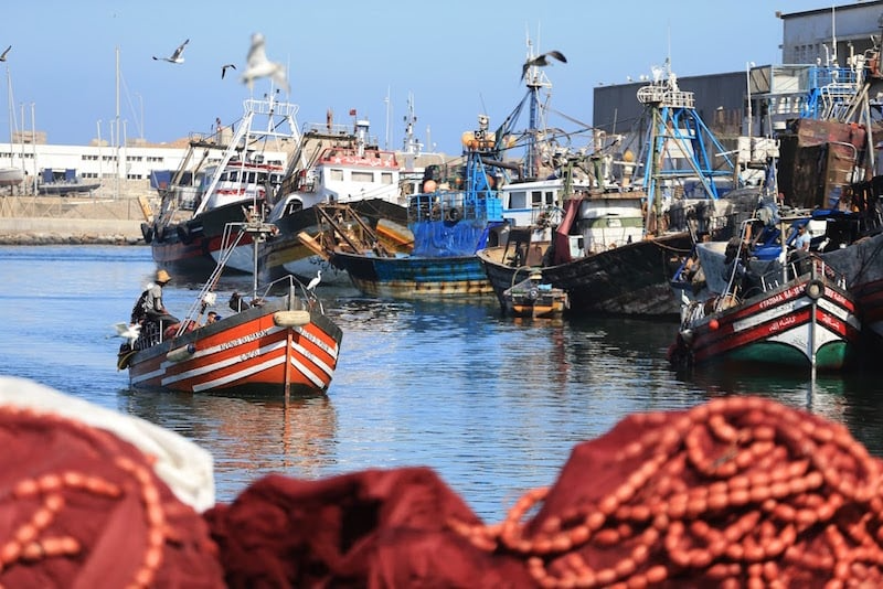 تراجع نسبة المفرغات السمكية في ميناء الناظور بنسبة 9%