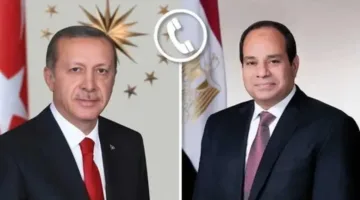 السيسي وأردوغان يتناولان زيادة التوترات الإسرائيلية ويُنبهان إلى آثارها السلبية على استقرار المنطقة
