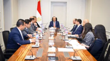 وزير الخارجية يشدد على ضرورة تعزيز دور مصر النشيط في إفريقيا