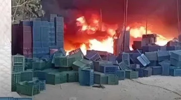 ضخم حريق يندلع في مصنع أدوية بمدينة السادات.. وجهود الدفاع المدني مستمرة لاحتوائه ومنع انتشاره إلى المصانع المجاورة.