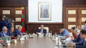 الحكومة تتيح التعليم عن بعد في الجامعات وتضيف ملحق الأنشطة الإضافية للشهادات.