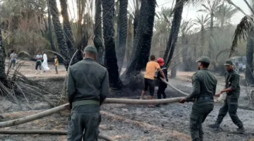 حرائق الواحات في المغرب: خطر على البيئة وأضرار اقتصادية