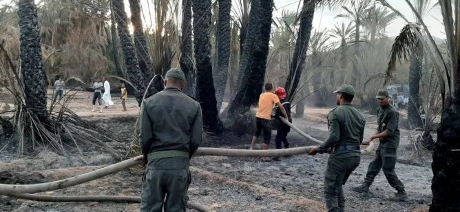 حرائق الواحات في المغرب: خطر على البيئة وأضرار اقتصادية حرائق الواحات في المغرب: خطر على البيئة وأضرار اقتصادية