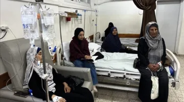 تحت وطأة الإبادة والنزوح المستمر: تجارب مرضى السرطان في غزة