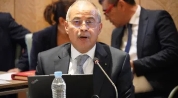 “المغرب الأخضر”: تنظيم المهن ورأس مال القرض الفلاحي يأخذ خطوة جريئة.
