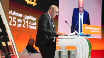 ولد الرشيد: استمرار دعم الحكم الذاتي يعزز الحل العلمي للنزاع المفتعل في صحرائنا